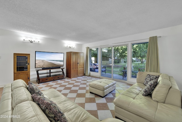 living room with a textured ceiling