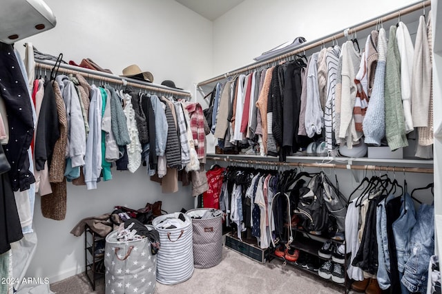 spacious closet featuring carpet