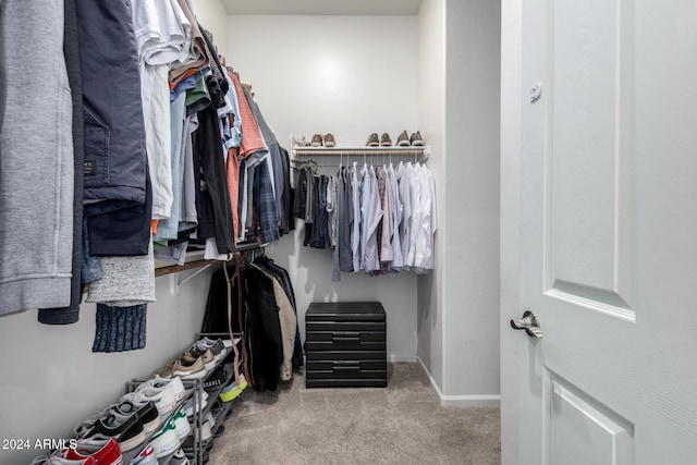 spacious closet with light colored carpet