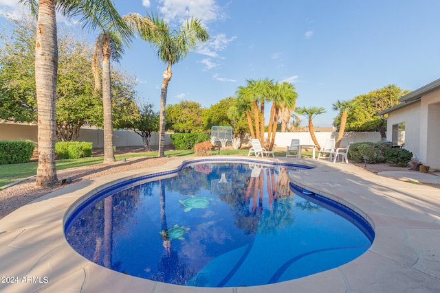 view of swimming pool with a patio