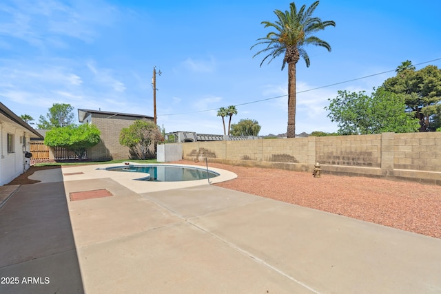 8135 N 5th St, Phoenix, AZ 85020 - view of swimming pool with a patio and a fenced backyard