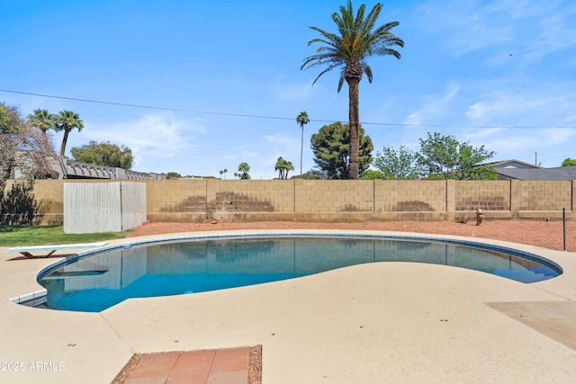 8135 N 5th St, Phoenix, AZ 85020 - view of pool with a fenced backyard, a patio area, and a diving board