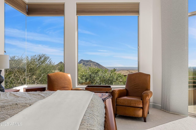 13621 E Aster Dr, Scottsdale, AZ 85259 - bedroom with a mountain view