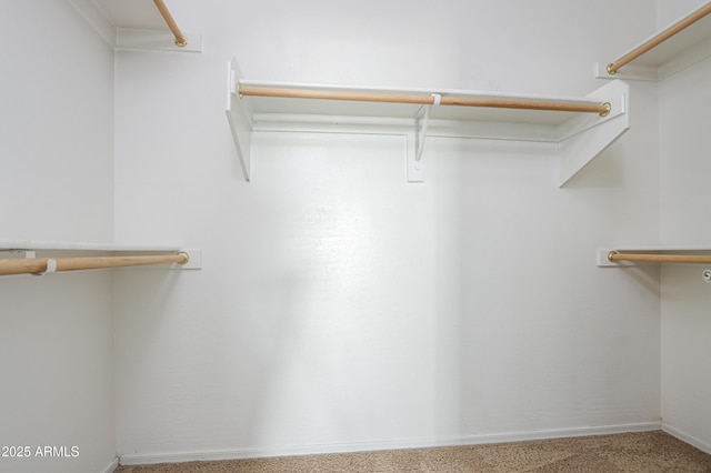 view of spacious closet