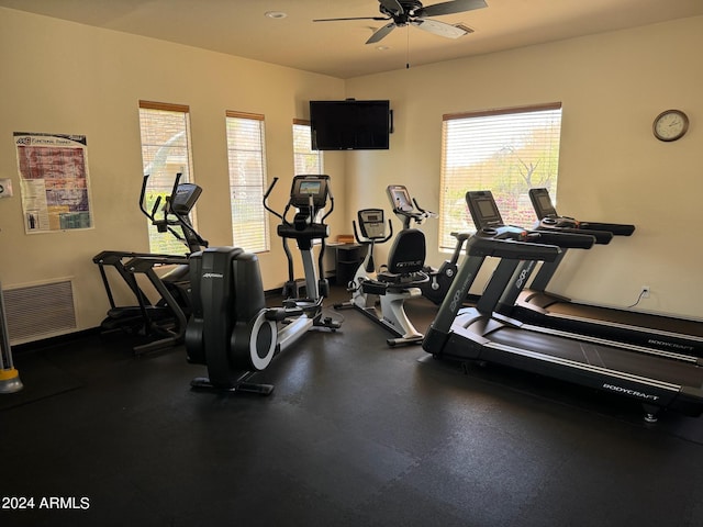 exercise room featuring plenty of natural light and ceiling fan