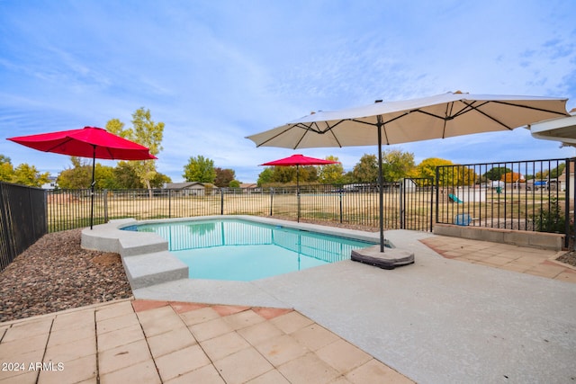 view of pool with a patio area