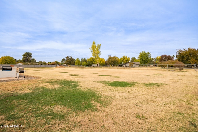 view of yard featuring a rural view