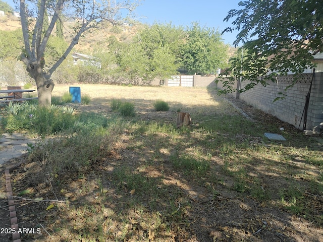 5463 E Roberts Dr, Globe, AZ 85501 - view of yard