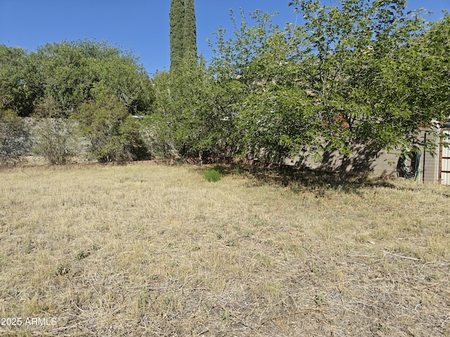 5463 E Roberts Dr, Globe, AZ 85501 - view of yard