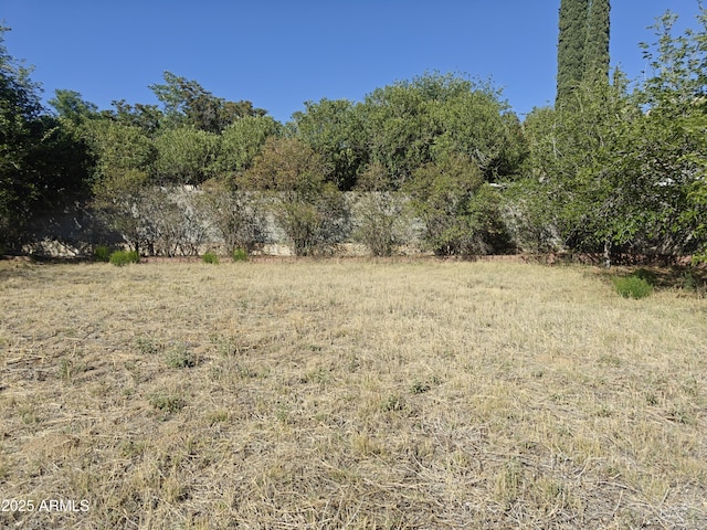 5463 E Roberts Dr, Globe, AZ 85501 - view of nature