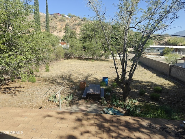 5463 E Roberts Dr, Globe, AZ 85501 - view of yard with a mountain view