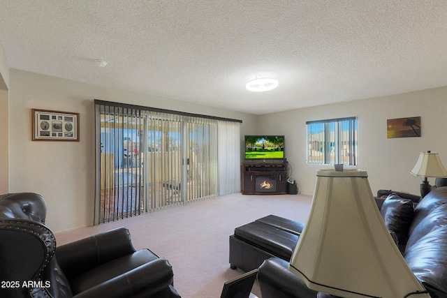 living room featuring a textured ceiling and carpet floors