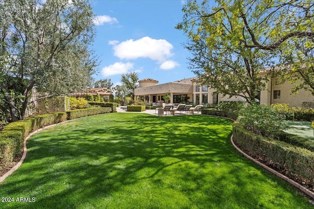 view of yard featuring a patio area