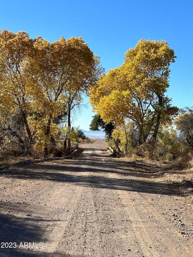 Listing photo 2 for TBD Turkey Creek Rd -, Unit Pearce AZ 85625