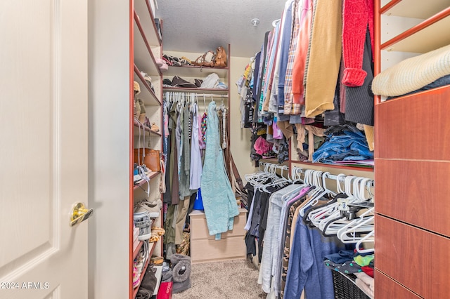 walk in closet featuring carpet