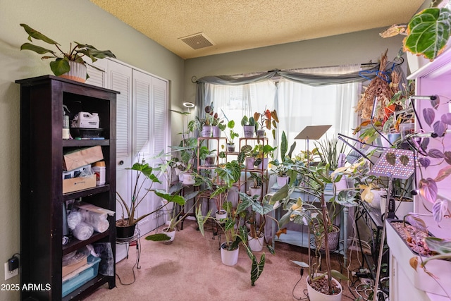 misc room with carpet, visible vents, and a textured ceiling