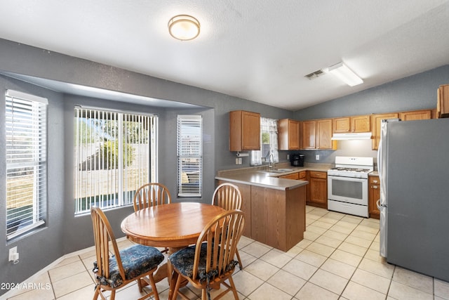 kitchen with a wealth of natural light, white gas range oven, sink, and stainless steel refrigerator