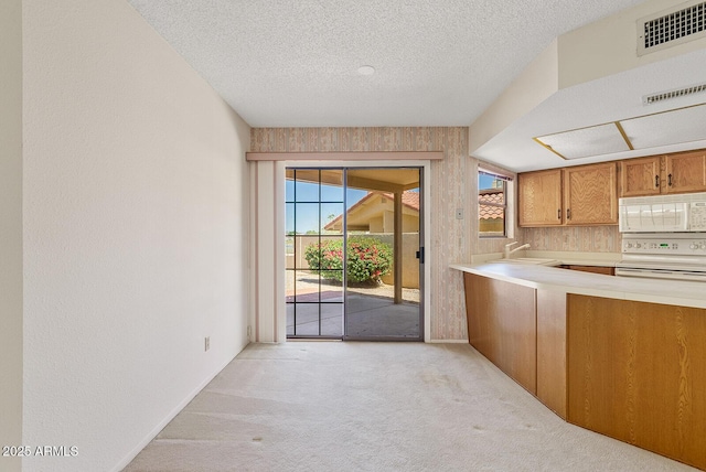 kitchen featuring light colored carpet, a wealth of natural light, white appliances, and visible vents