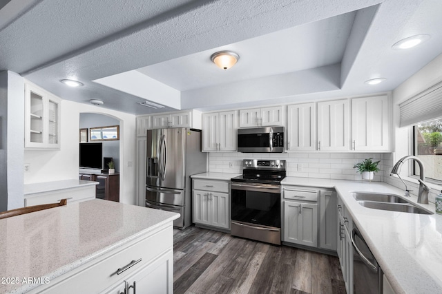 kitchen featuring stainless steel appliances, a sink, backsplash, dark wood-style floors, and recessed lighting