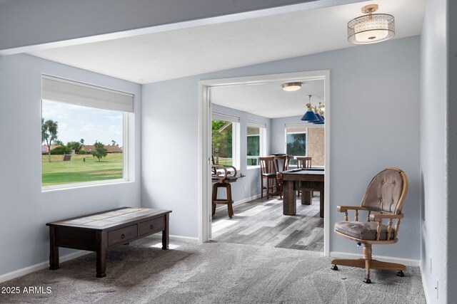 living area featuring carpet, plenty of natural light, and baseboards