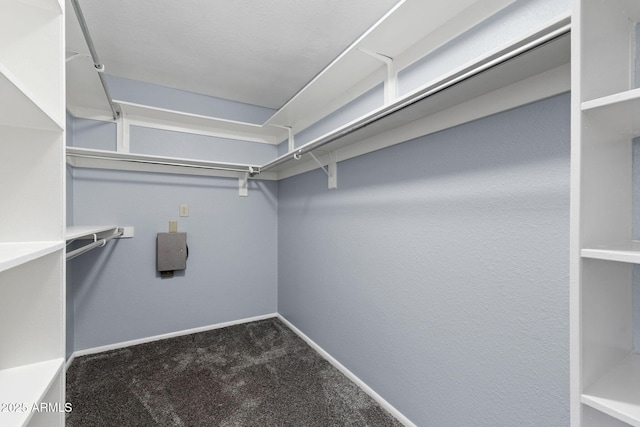 walk in closet featuring carpet
