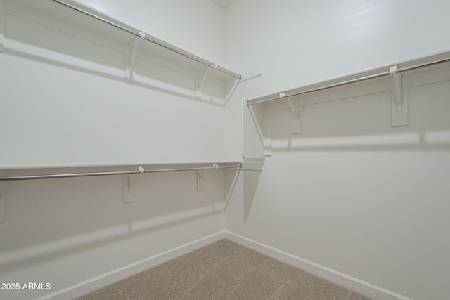 walk in closet featuring carpet flooring