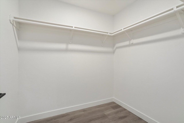 spacious closet featuring hardwood / wood-style flooring