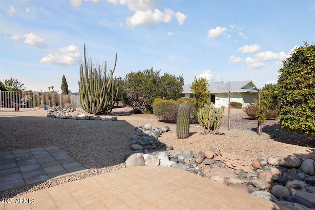 view of yard featuring a patio