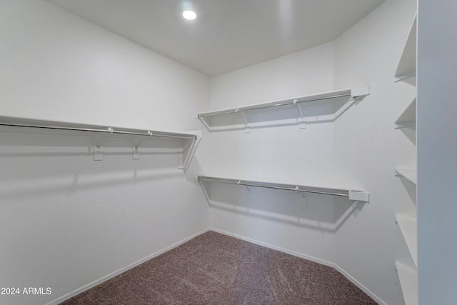 walk in closet with carpet floors