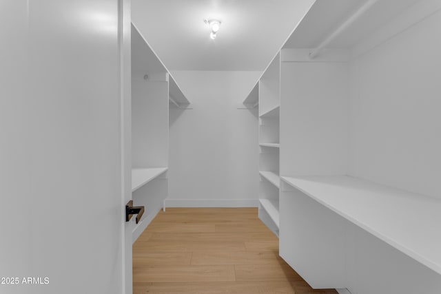 walk in closet featuring light wood-type flooring