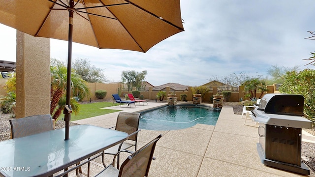 view of pool featuring a fenced in pool, outdoor dining area, a fenced backyard, area for grilling, and a patio