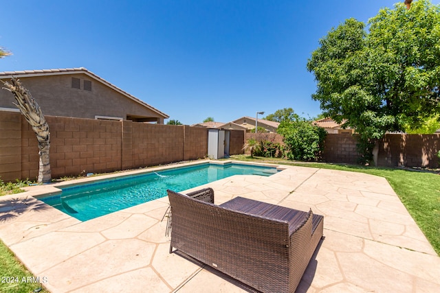 view of swimming pool with a storage shed and a patio area