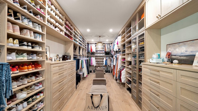 spacious closet featuring light wood finished floors