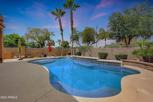 view of pool featuring a patio area, a fenced backyard, and a fenced in pool