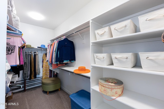 spacious closet with dark colored carpet