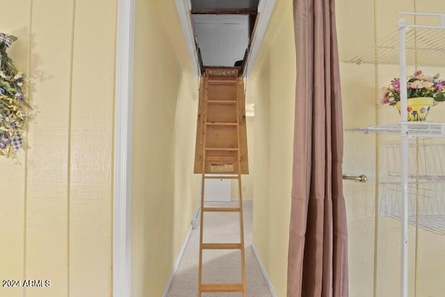 stairs featuring carpet floors