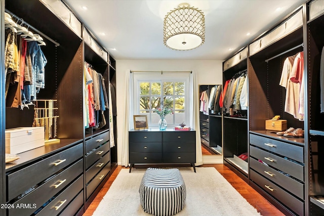 spacious closet with hardwood / wood-style flooring