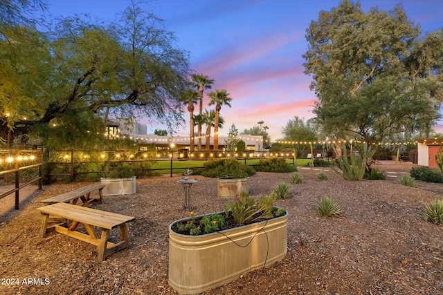 view of yard at dusk