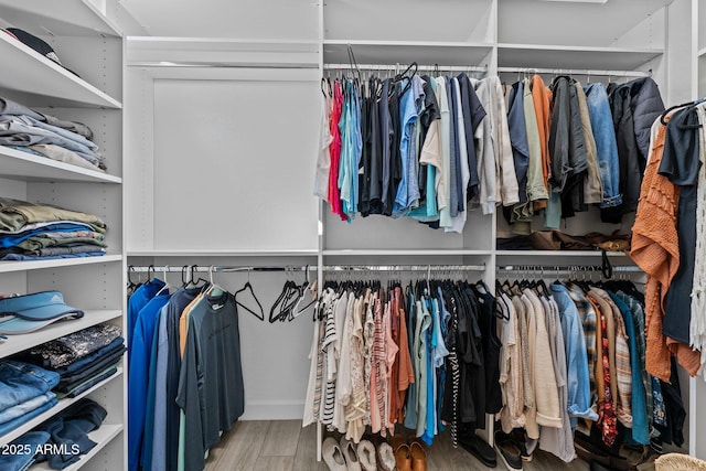 walk in closet featuring wood finished floors