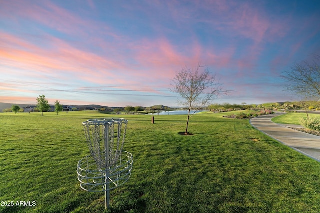 view of yard at dusk