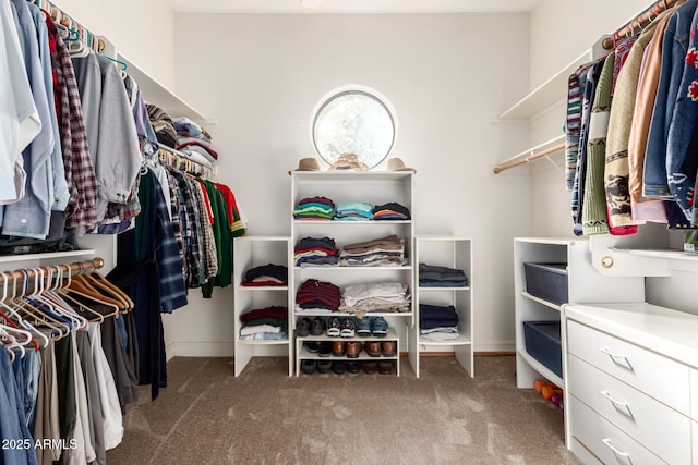 spacious closet with carpet floors