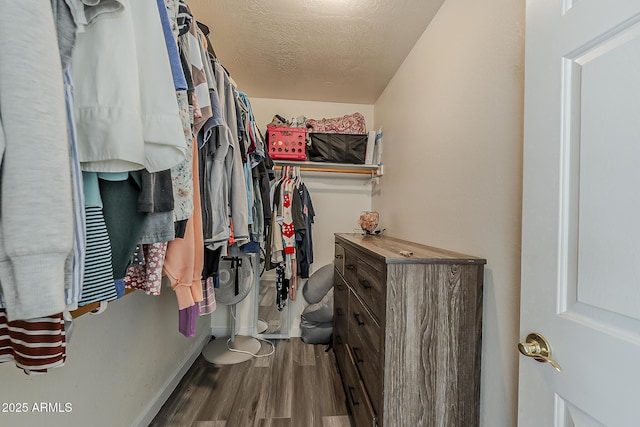 spacious closet with wood finished floors