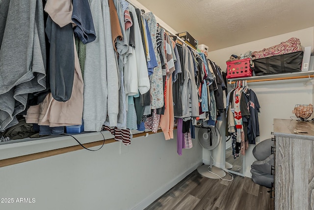 spacious closet featuring wood finished floors