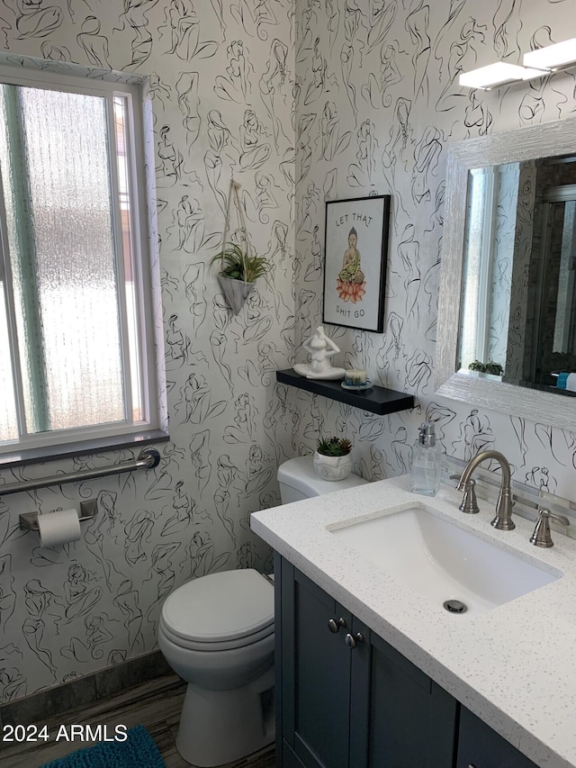 bathroom featuring vanity, toilet, and a wealth of natural light