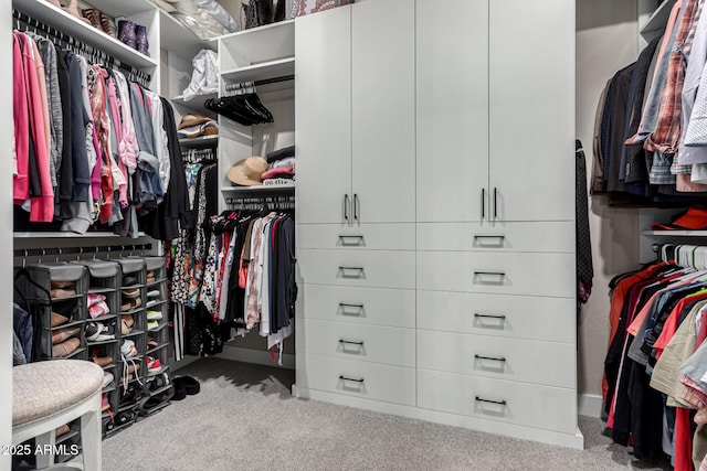 spacious closet featuring light carpet