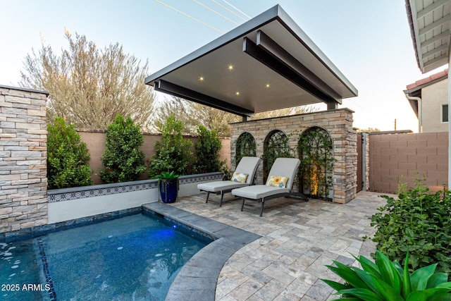 view of swimming pool with a patio