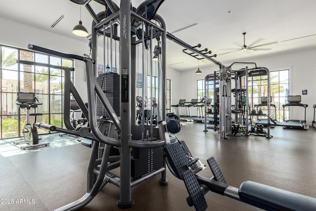 exercise room featuring ceiling fan and plenty of natural light