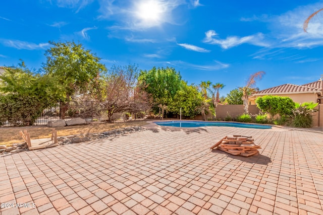 view of swimming pool with a patio