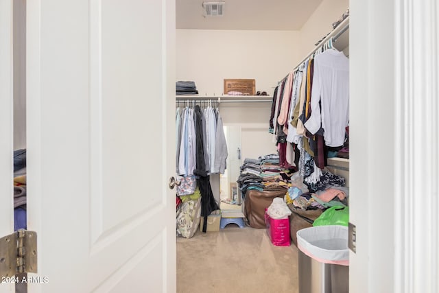 walk in closet with carpet