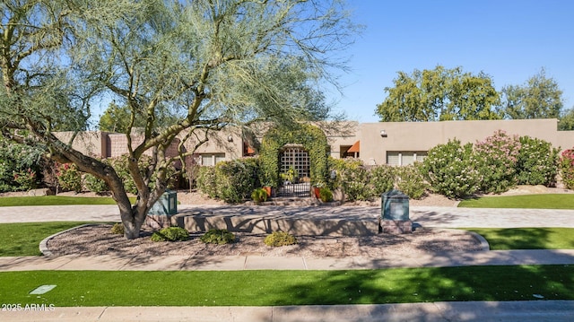 view of front of property with a front yard and stucco siding